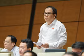 ĐBQH: Nhiều công nhân tuần chỉ được ăn thịt cá 1-2 lần, lương tối thiểu tăng không đủ bù trượt giá