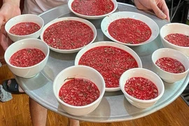 Cụ bà 86 tuổi ở Quốc Oai tử vong do liên cầu khuẩn lợn