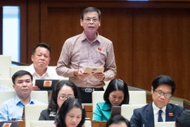 ĐBQH đề xuất một “cách làm khác” để bảo vệ cán bộ dám nghĩ, dám làm