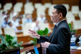 Bộ trưởng Hồ Đức Phớc: Tổ chức, cá nhân nhập khẩu cổ vật để kinh doanh phải chịu thuế