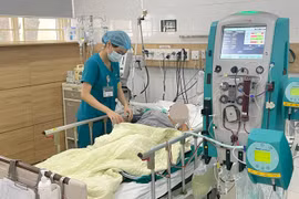 Ba người trong một gia đình tử vong do ngộ độc nấm rừng