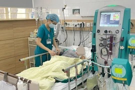 Ba người trong một gia đình tử vong do ngộ độc nấm rừng