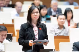 Nhiều đại biểu Quốc hội băn khoăn, lo lắng khi liên tiếp xảy ra mưa lũ, ngập lụt kỷ lục