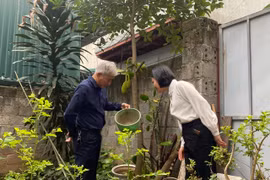 Hà Nội ghi nhận ca mắc viêm não mô cầu đầu tiên trong năm 2025, nhiều ổ dịch tay chân miệng