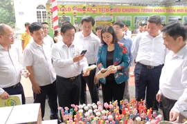 Hà Nội: Đề xuất kinh phí xây dựng nông thôn mới đến năm 2025 là 17.542 tỷ đồng