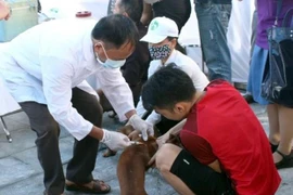 Tham gia giết mổ chó, một người ở Hà Nội tử vong do bệnh dại