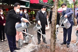Bí thư Thành ủy Đinh Tiến Dũng phát động Tết trồng cây tại phố Sách Hà Nội
