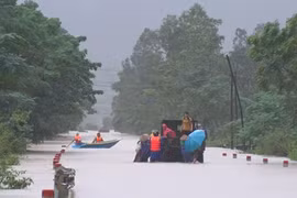 Quảng Bình: 11 tàu cá bị chìm, một ngư dân mất tích