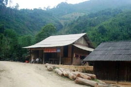 Mâu thuẫn gia đình, vợ trẻ 17 tuổi ăn lá ngón tự tử