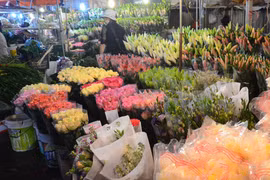 Chợ hoa đêm Quảng Bá tấp nập nhân Ngày Phụ nữ Việt Nam