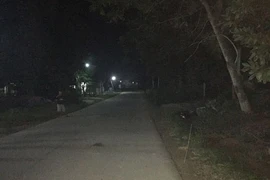 Quảng Ngãi: Một thợ hồ tử vong trên đường đi làm về 