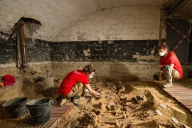 Phát hiện gần 300 bộ hài cốt ít nhất 500 năm tuổi tại Paris