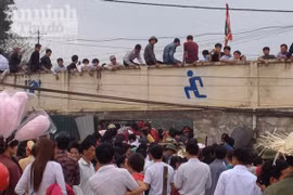 Tuyên Quang: Chen chân vào xem hội chọi trâu