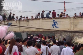 Tuyên Quang: Chen chân vào xem hội chọi trâu