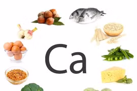 Canxi điều chỉnh sự phát triển xương