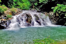 Lên đỉnh rừng Bidoup