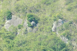 Bí ẩn hòn đá mặt quỷ và cây đa thần che chở cho làng