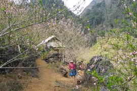 Xuân ngập sắc màu ở Lóng Luông