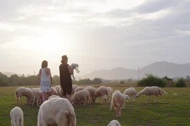 Slim V làm MV động viên người thất tình trong dịp lễ Valentine