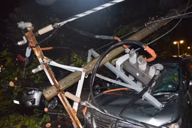 Mưa lớn giờ tan tầm, hàng loạt cây xanh bật gốc, nhiều tuyến đường ngập