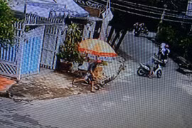 Ra tay nhanh như chớp, trộm chim quý giữa ban ngày