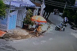 Ra tay nhanh như chớp, trộm chim quý giữa ban ngày