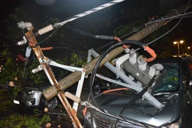 Mưa lớn giờ tan tầm, hàng loạt cây xanh bật gốc, nhiều tuyến đường ngập