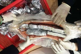 Thủ đoạn tinh vi: Cất giấu sản phẩm nghi ngà voi Châu Phi trong... bụng cá hồi