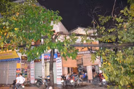 Hàng loạt cây xanh gãy, gãy nhánh trong cơn mưa lớn