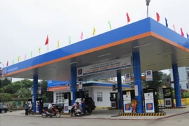 Lộ diện những vi phạm khủng tại Tập đoàn Xăng dầu – Petrolimex