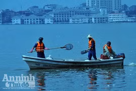 Lấy mẫu xét nghiệm làm rõ nguyên nhân cá chết hàng loạt ở hồ Tây