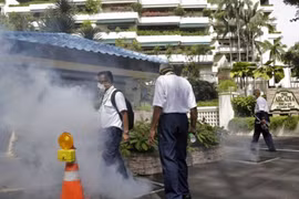 Virus Zika chủng châu Á đang hoành hành