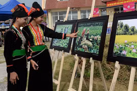 Thi ảnh về Làng Văn hóa các dân tộc Việt Nam