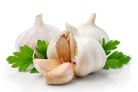 Những nguyên liệu nên có trong nhà bếp mỗi ngày