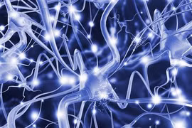 Béo phì, thuốc tránh thai có liên quan tới bệnh đa xơ cứng