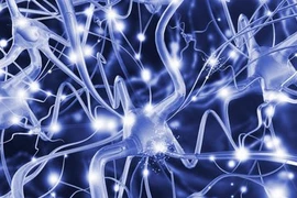 Béo phì, thuốc tránh thai có liên quan tới bệnh đa xơ cứng