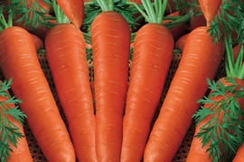 Lợi ích sức khỏe của nước ép cà rốt