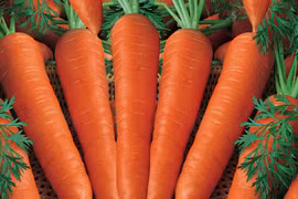 Lợi ích sức khỏe của nước ép cà rốt