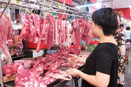 Vì sao lại cấp phép cho 2 doanh nghiệp được nhập khẩu lại chất tạo nạc salbutamol?