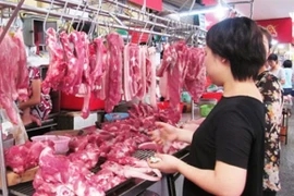 Vì sao lại cấp phép cho 2 doanh nghiệp được nhập khẩu lại chất tạo nạc salbutamol?