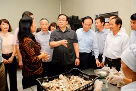 Huyện Thanh Trì xin cơ chế để phấn đấu lên quận vào năm 2020