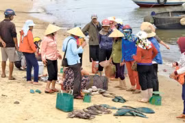 Cục An toàn thực phẩm: Chưa đủ cơ sở khẳng định hải sản miền Trung an toàn