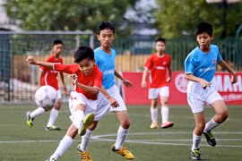 Ảnh minh họa
