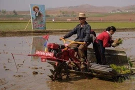 Triều Tiên vẫn chưa chịu đàm phán dù khủng hoảng lương thực 