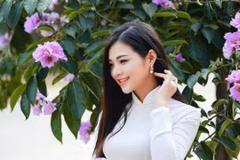 [ẢNH] Đường phố Hà Nội đẹp nao lòng trong sắc hoa bằng lăng 