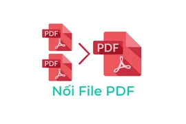 Cách nối file PDF bằng công cụ mới nhất năm 2021