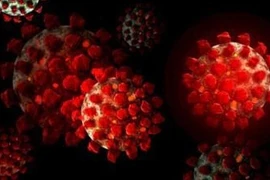 Virus SARS-CoV-2 đe doạ não bộ như thế nào?