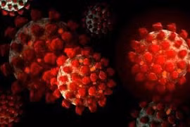 Virus SARS-CoV-2 đe doạ não bộ như thế nào?