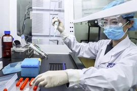 [ẢNH] Biến thể SARS-CoV-2 ghi nhận lần đầu tại Việt Nam từng xuất hiện ở đâu? 