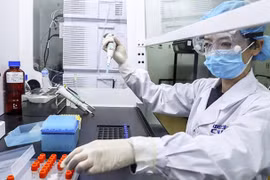 [ẢNH] Biến thể SARS-CoV-2 ghi nhận lần đầu tại Việt Nam từng xuất hiện ở đâu? 